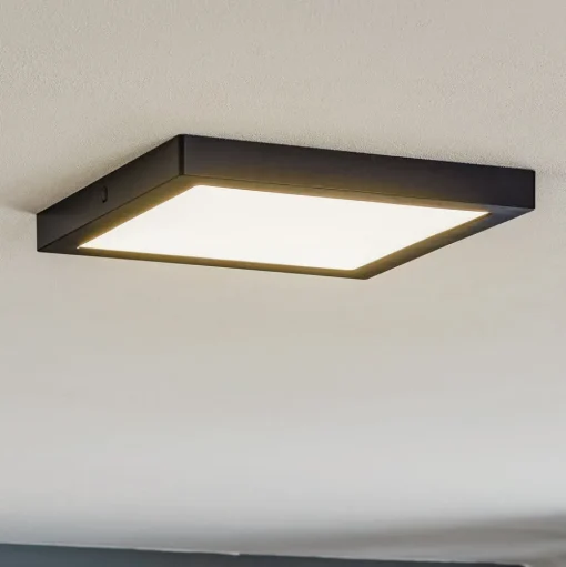 Paulmann Abia LED paneel 30x30 cm 2.700K zwart