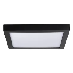 Paulmann Abia LED paneel 4.000K hoekig 30cm zwart