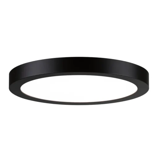 Paulmann Abia LED paneel Ø 30cm 4.000K zwart