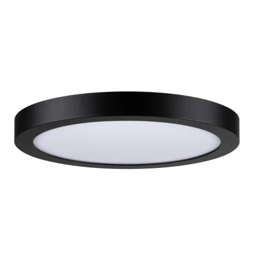 Paulmann Abia LED paneel Ø 30cm 4.000K zwart