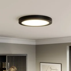Paulmann Abia LED paneel Ø 30cm 2.700K mat zwart