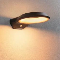 Paulmann Anela LED sensor buitenwandlamp 2.200 K