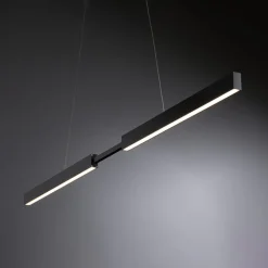 Paulmann Aptare LED hanglamp, ZigBee, zwart