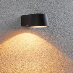 Paulmann Capea LED buitenwandlamp antraciet aluminium