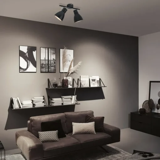 Paulmann Davy plafondlamp, zwart, 2-lamps