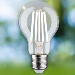 Paulmann Eco-Line LED lamp E27 4W 840lm 4.000K