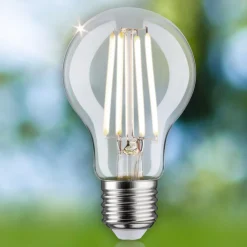 Paulmann Eco-Line LED lamp E27 2,5W 525lm 4.000K
