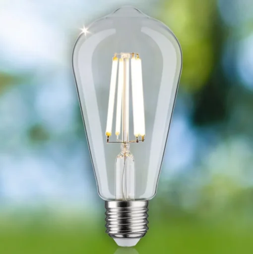 Paulmann Eco-Line LED rustiek E27 4W 840lm 4.000K