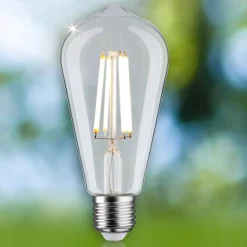 Paulmann Eco-Line LED rustiek E27 4W 840lm 3.000K