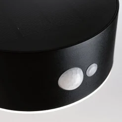 Paulmann Eileen buitenwandlamp solar met sensor