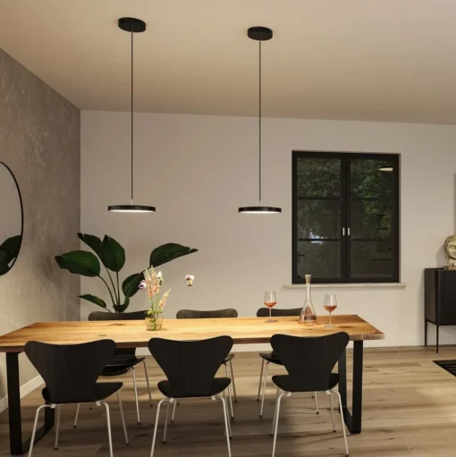 Paulmann Hildor LED hanglamp, Zigbee, zwart