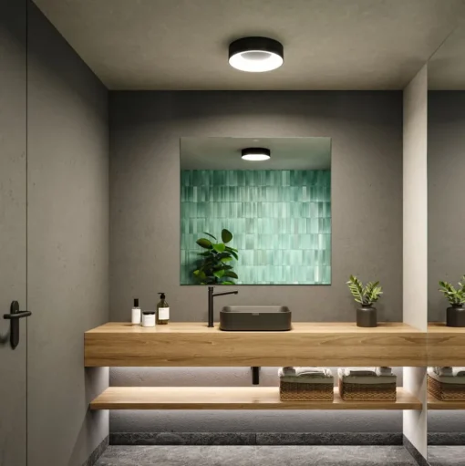 Paulmann HomeSpa Casca plafondlamp Ø30cm zwart