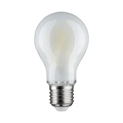 Paulmann LED lamp E27 9W 6.500K mat dimbaar