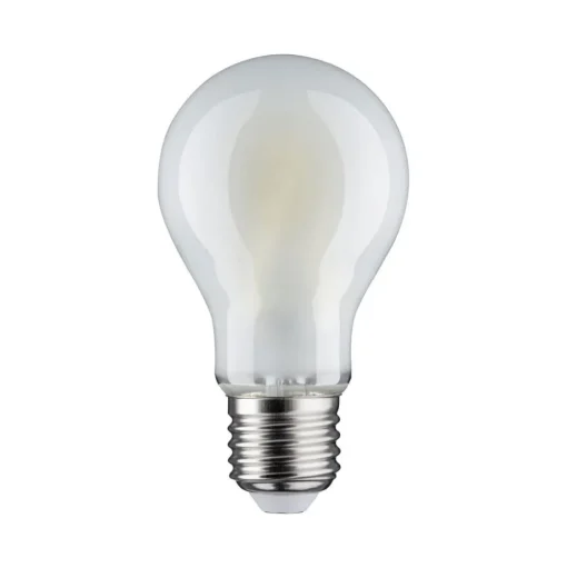 Paulmann LED lamp E27 9W 6.500K mat dimbaar