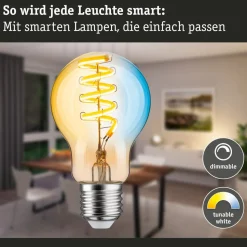 Paulmann LED lamp ZigBee E27 7,5W CCT dim goud