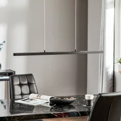 Paulmann Lento LED hanglamp zwart dimbaar Up-&Downlight