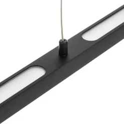 Paulmann Lento LED hanglamp zwart dimbaar Up-&Downlight