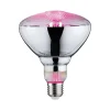 Paulmann planten lamp E27 Grow Green 6.5W