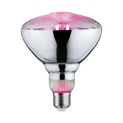 Paulmann planten lamp E27 Grow Green 6.5W