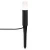 Paulmann Plug & Shine Flarea grondspies lamp 20 cm