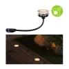 Paulmann Plug & Shine inbouwlamp 2W 1 stuk