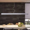 Paulmann URail hanglamp Barre in mat chroom