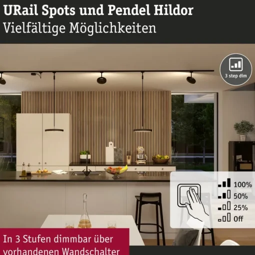 Paulmann URail Hildor LED hanglamp 3.000K zwart