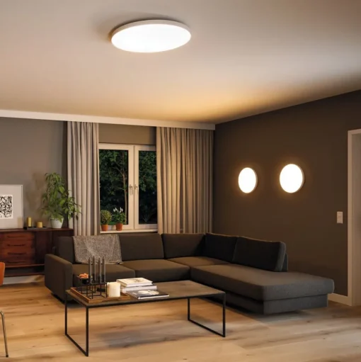 Paulmann Velora LED paneel ZigBee CCT rond Ø 60 cm