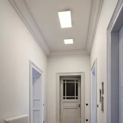 Paulmann Velora LED plafondlamp 59,5 x 29,5cm