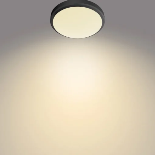 Philips Doris LED plafondlamp 2700K zwart Ø28cm
