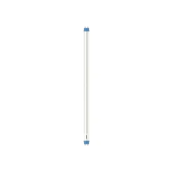 Philips G13 T8 buislamp 8W 60,3cm 6.500K