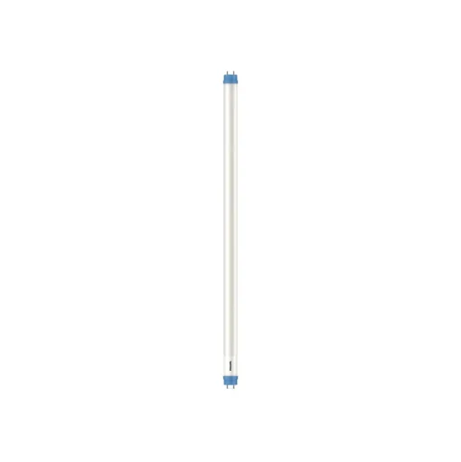 Philips G13 T8 buislamp 8W 60,3cm 6.500K