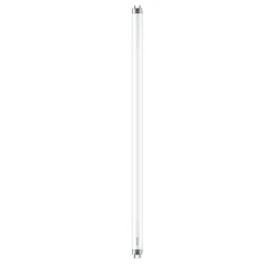 Philips G13 T8 buislamp 8W 60,3cm 2.700K