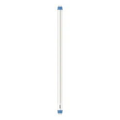 Philips G13 T8 buislamp 8W 60,3cm 4.000K