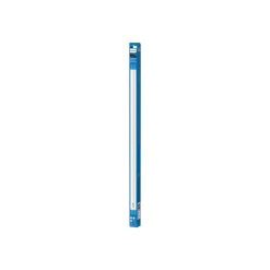 Philips G13 T8 buislamp 8W 60,3cm 4.000K