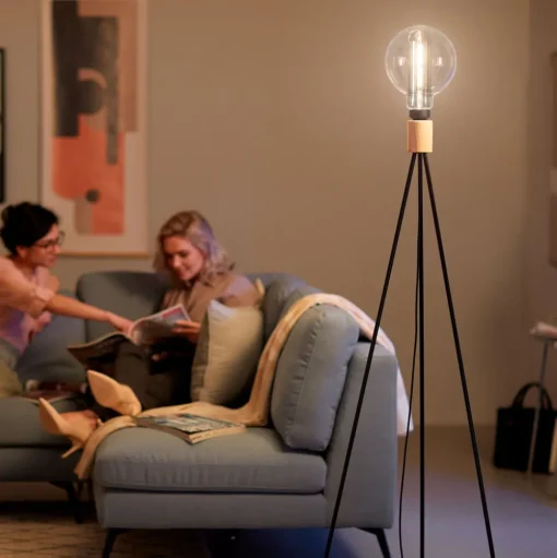Philips Giant Globe rook LED lamp E27 6.5W