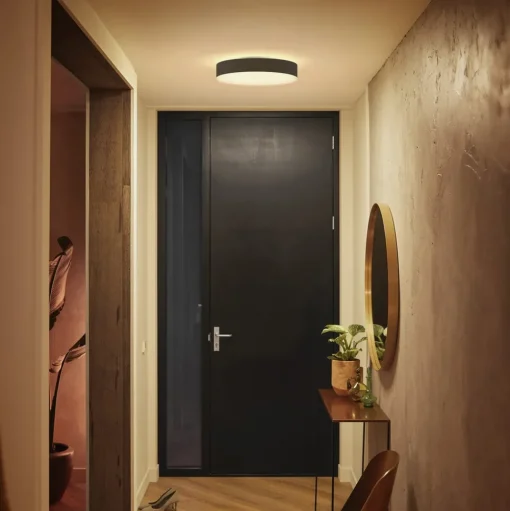 Philips Hue Enrave LED plafondlamp 38,1cm zwart
