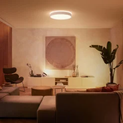 Philips Hue Enrave LED plafondlamp 55,1cm wit