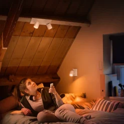 Philips Hue Runner LED spot, 2-lamps, dimschakelaar, wit