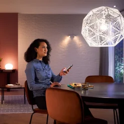 Philips Hue White 9W E27 LED lamp, 2 per set