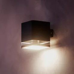 Philips LED buiten wandlamp Virona, zwart, IP44