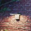 Philips LED wandlamp Zonal, kop 16 x 16 cm