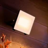 Philips LED-buitenspot Lois UE flood, 14 W, 3.000 K, IP65