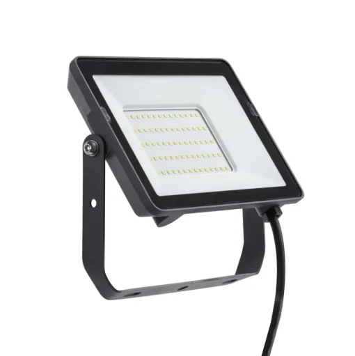 Philips ProjectLine buitenspot Sensor 4000K 50W