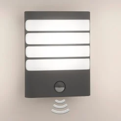 Philips Raccoon LED-buitenwandlamp antraciet