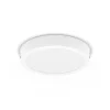Philips Slim Surface LED 4.000K rond 21cm wit
