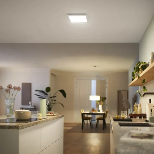 Philips Touch LED paneel 62,8 x 62,8cm wit 2.700 K