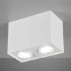 Plafondlamp Biscuit, 2-lamps, wit