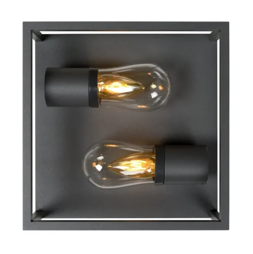Plafondlamp Carlyn badkamer 2-lamps zwart