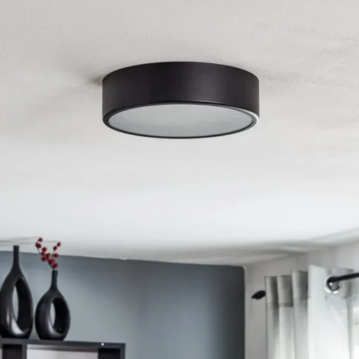 Plafondlamp Cleo, Ø 30 cm, IP20, zwart, metaal, E27